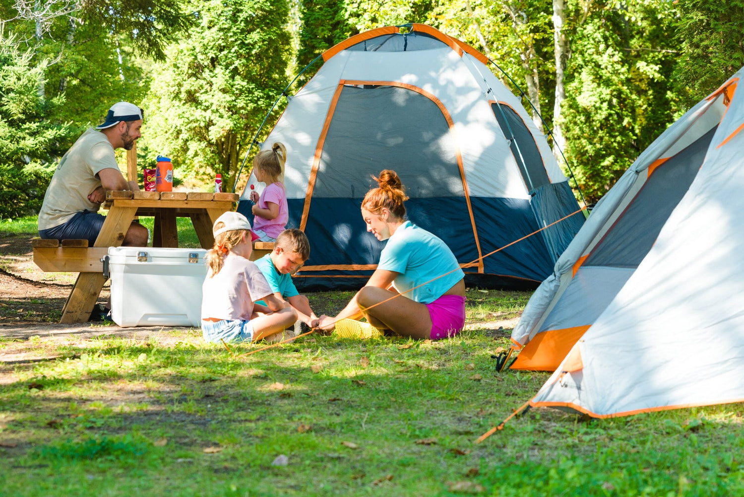 🏕️ Camping